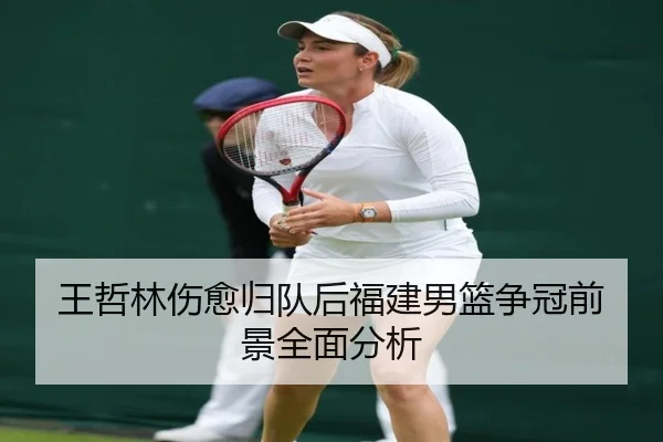 王哲林伤愈归队后福建男篮争冠前景全面分析